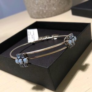 Alex and Ani Blue Raspberry Sparkler Bracelet